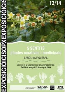 5 Sentits: Plantes curatives i medicinals