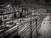 VOICES (Polish version)