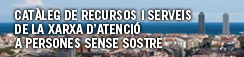 banner catàleg