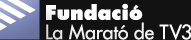 FUNDACIÓ LA MARATÓ DE TV3