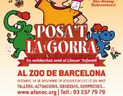 Imatge cartell Posa't la gorra