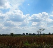 Actualitzaci� Blog NNUU