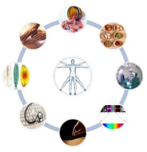 Jornadacomplementaria