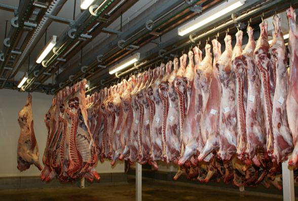 Cerdanyola del Vallès_Traçabilitat_040516_160633