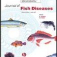 Títol: Journal of fish diseases Editor: Blackwell, [19??]- Periodicitat: Bimestral Cobertura: 1996- Accés: Xarxa UAB Web: https://onlinelibrary.wiley.com/journal/10.1111/%28ISSN%291365-2761 Notes: El Journal of fish diseases és una publicació que pretén ser el [&hellip;]