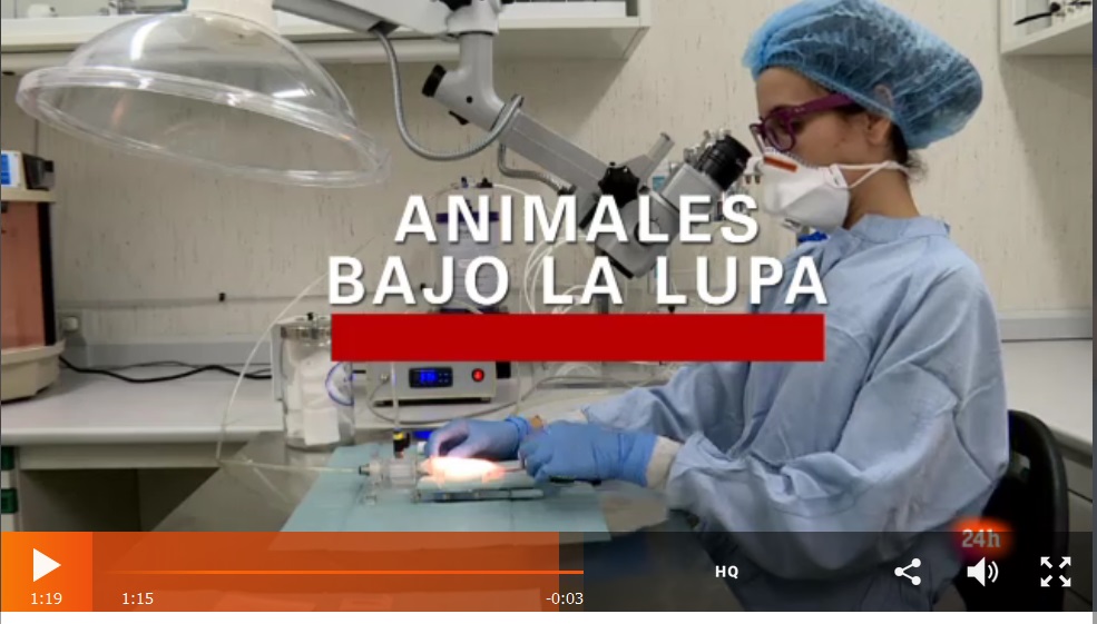 Animales bajo la lupa