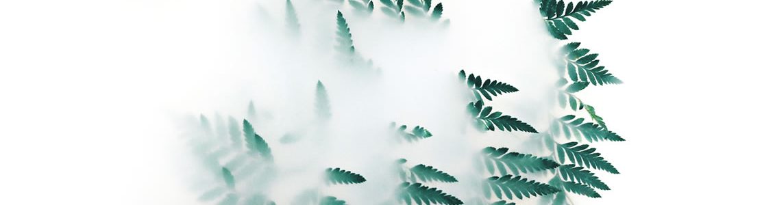 implementation implementation