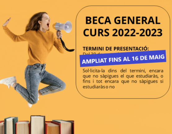 Com presentar una al.legació