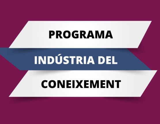 Programa d’Indústria del Coneixement