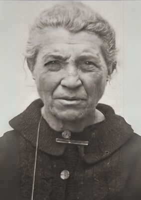 Guillaumes_Guitart_Dolors