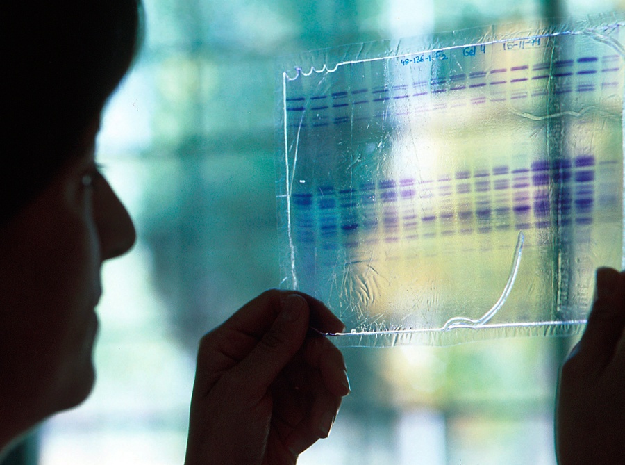 Investigación - Grados en la UAH 