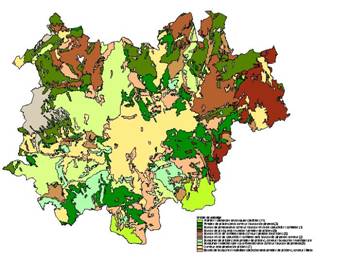 proj analisi 04 image004