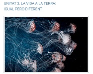 conveni competencies