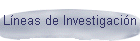 L�neas de Investigaci�n