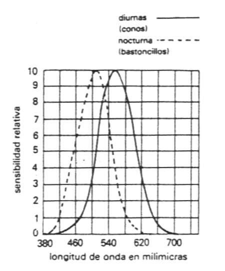 curvavision.jpg (24421 bytes)