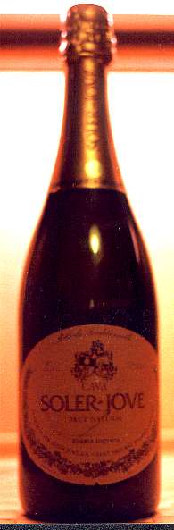 botella1.jpg (13898 bytes)