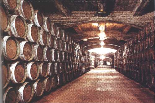 bodega.jpg (37063 bytes)