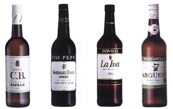 finos.jpg (24849 bytes)