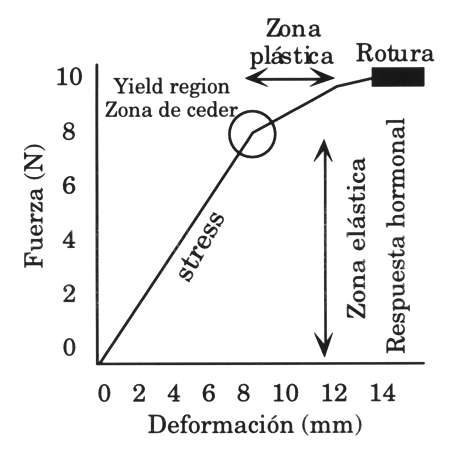 estres.jpg (21422 bytes)