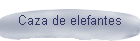 Caza de elefantes