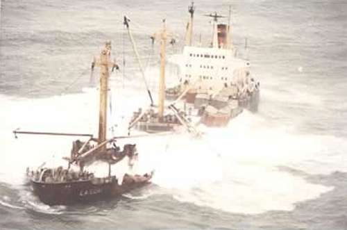 cason1.jpg (16078 bytes)