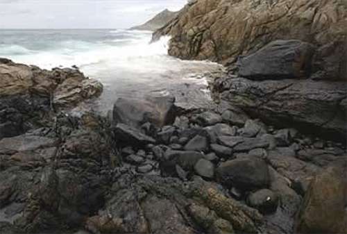 prestige14.jpg (23226 bytes)