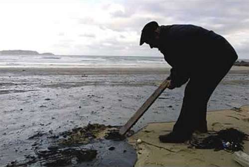 prestige16.jpg (18970 bytes)