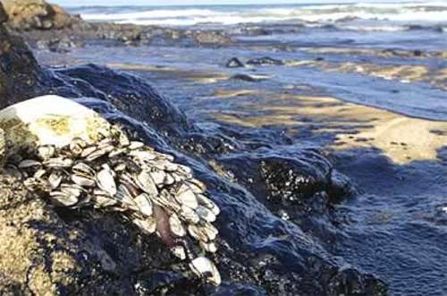 prestige18.jpg (33107 bytes)