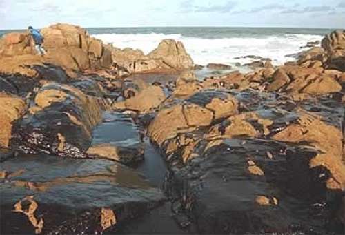 prestige19.jpg (26269 bytes)