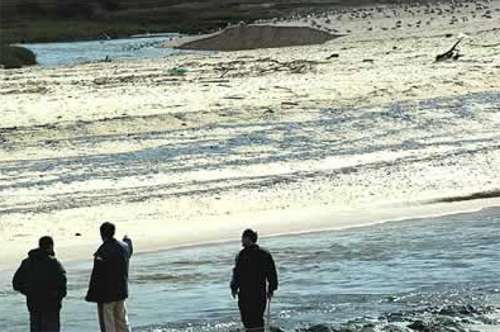 prestige22.jpg (30674 bytes)