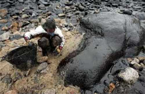 prestige26.jpg (23800 bytes)