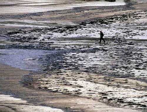 prestige29.jpg (38714 bytes)