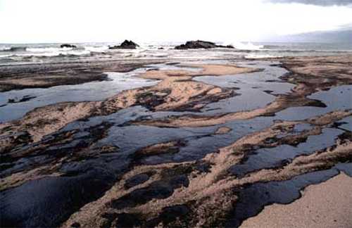 prestige32.jpg (22166 bytes)