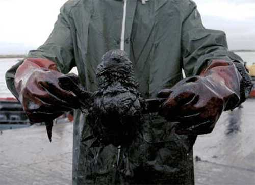 prestige39.jpg (19040 bytes)