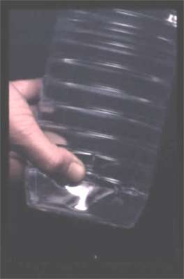 manchas.jpg (7055 bytes)