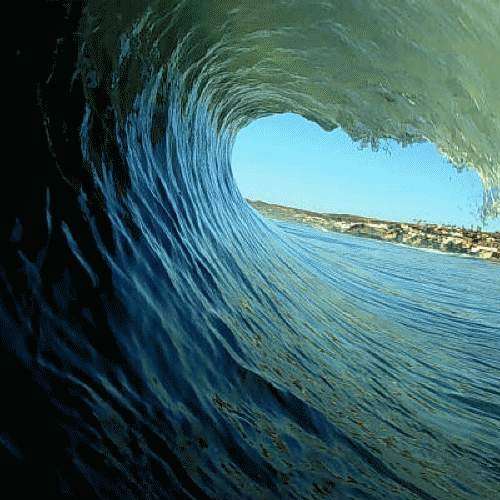 olab.jpg (39345 bytes)