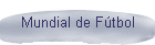 Mundial de Ftbol