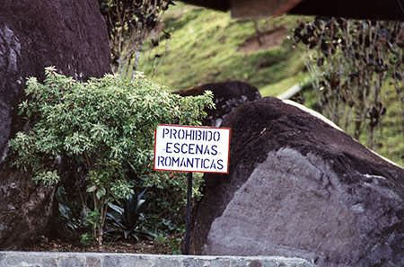 cartel5.jpg (27228 bytes)