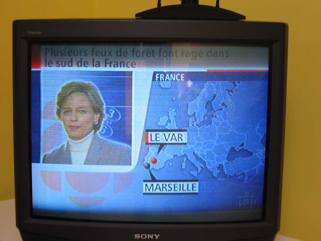 canadienne.jpg (55431 bytes)