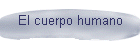 El cuerpo humano