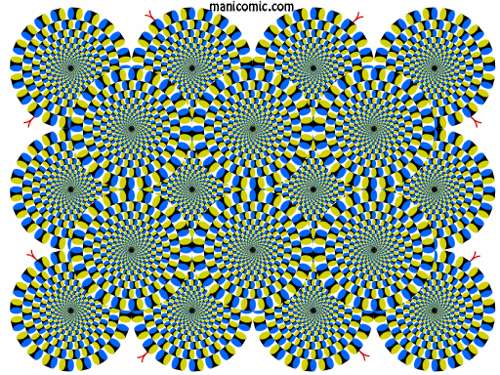 ruedas.jpg (72196 bytes)