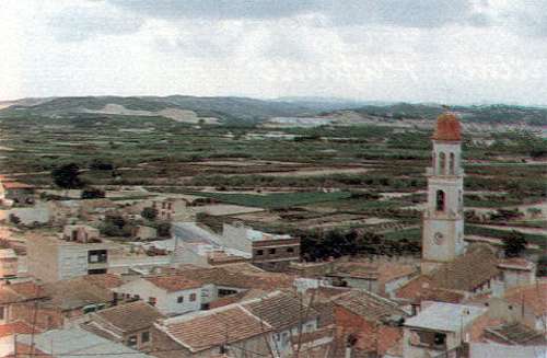 pedania1.jpg (26103 bytes)