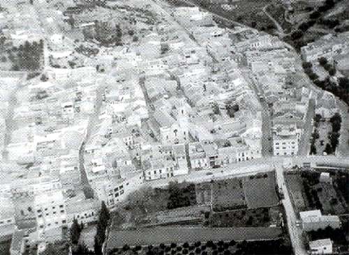 pedania2.jpg (42235 bytes)