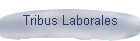 Tribus Laborales