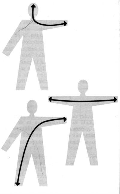 fig3.jpg (26602 bytes)