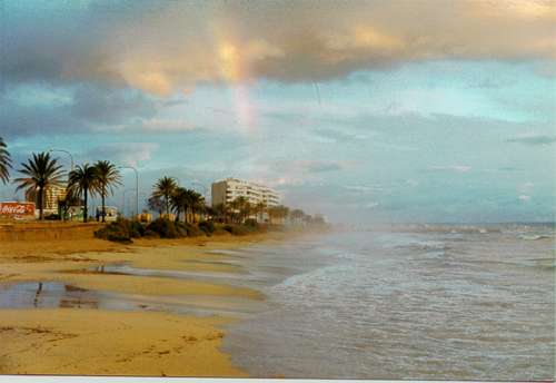 iris11.jpg (17401 bytes)