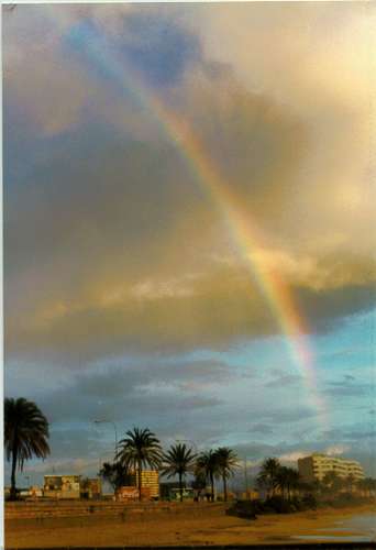 iris12.jpg (13438 bytes)