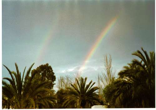 iris13.jpg (18348 bytes)