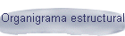 Organigrama estructural