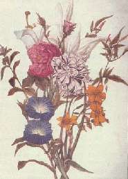 flores.jpg (9727 bytes)